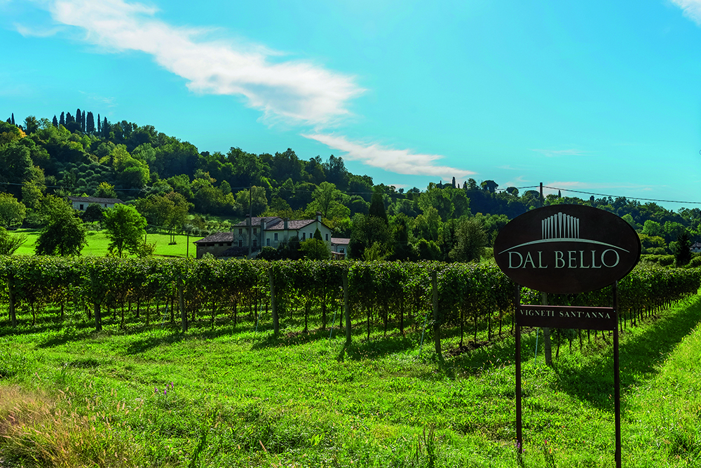 Dal Bello i vini del territorio asolano a Vinitaly VenetoEconomia